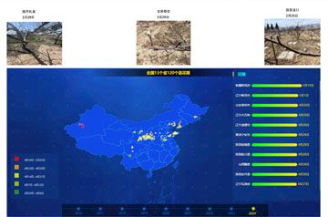 大部分产区苹果花期较常年持平或偏晚 甘肃山东等产区需防范花期冻害风险
