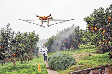 乐动在线获河南省2024年农业主推技术依托单位