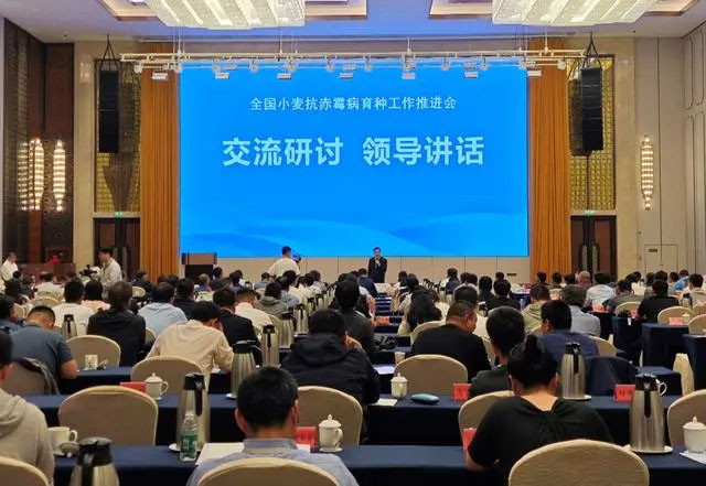 我国小麦抗赤霉病育种取得新突破