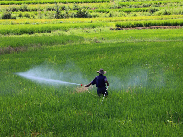 农作物种植病虫害防治技术大全