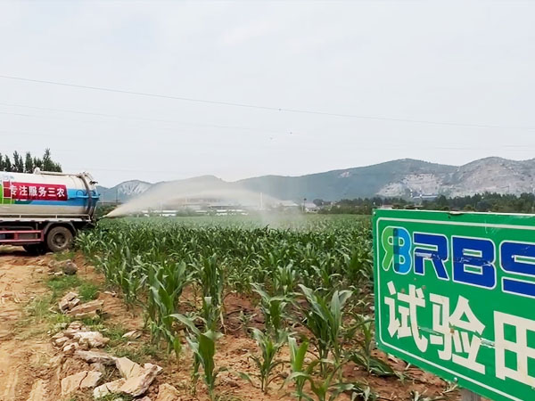 华北黄淮墒情部分改善 旱地干旱持续 华北黄淮墒情部分改善 旱地干旱持续